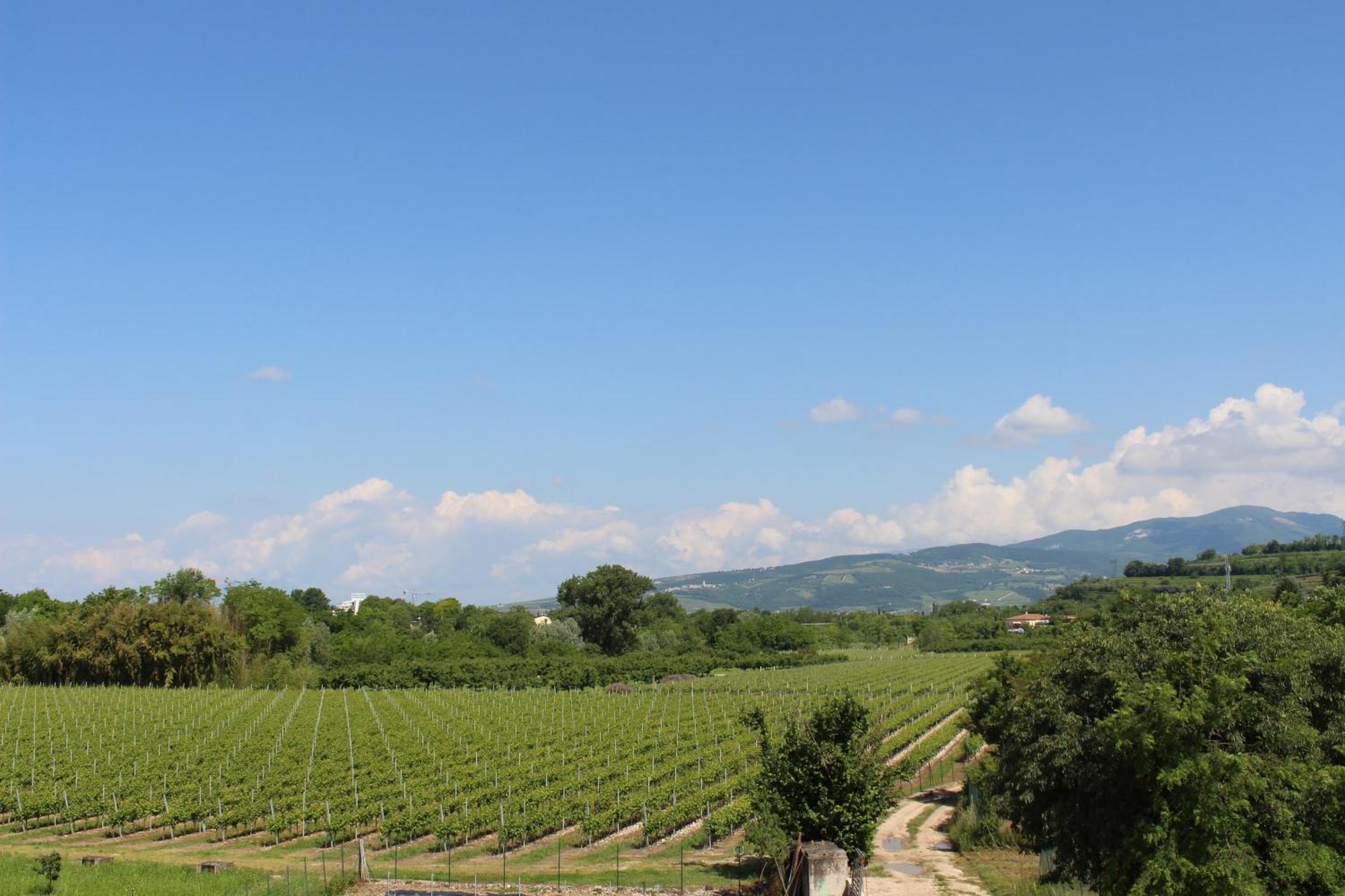 Bed And Breakfast Ca Tognella Pescantina ภายนอก รูปภาพ